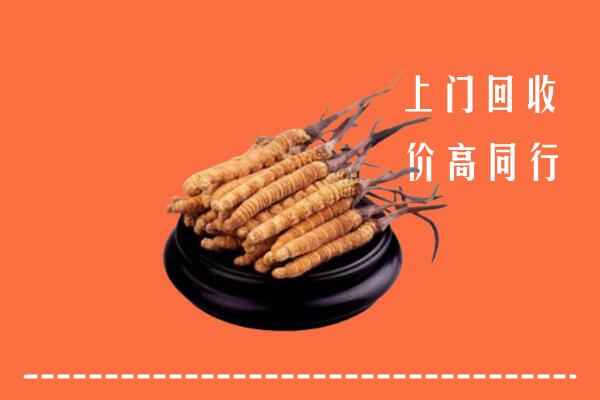 高价求购：双湖县回收散虫草