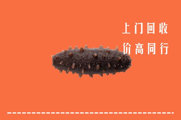 高价求购：双湖县回收海参
